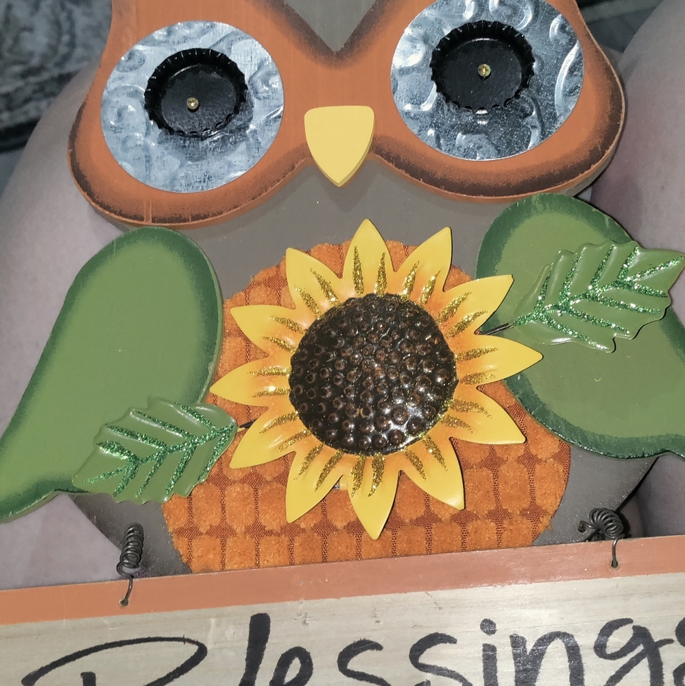 Cute lil hanging owl